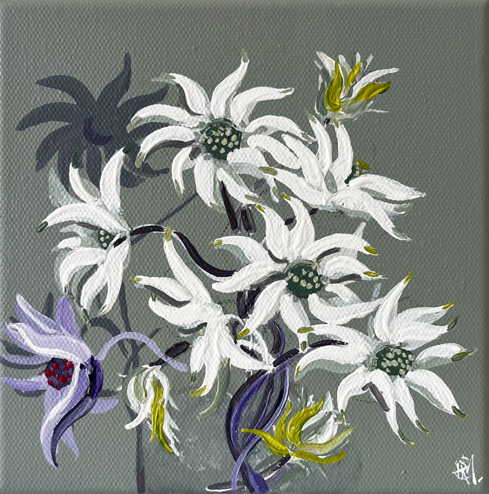 'Flannel Flowers' #1758 roslynmary art.