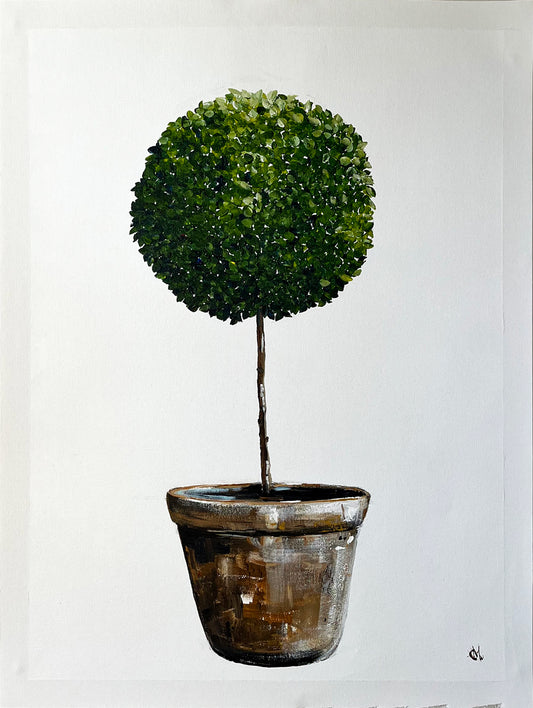 Standard English Box Topiary in Terracotta Pot Painted in Acrylic on Cotton Canvas with Border roslynmary art.