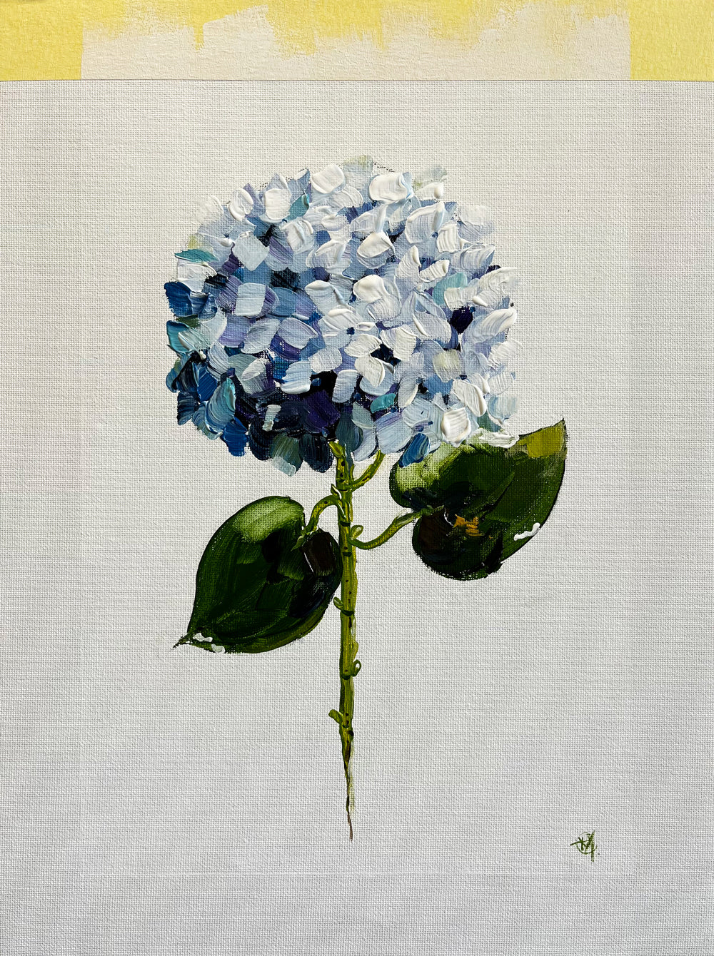 Single Blue Hydrangea Painted in Acrylic on Cotton Canvas with Border roslynmary art.
