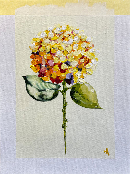 Single Yellow Hydrangea on Subtle Background Painted in Acrylic on Cotton Canvas with border roslynmary art.