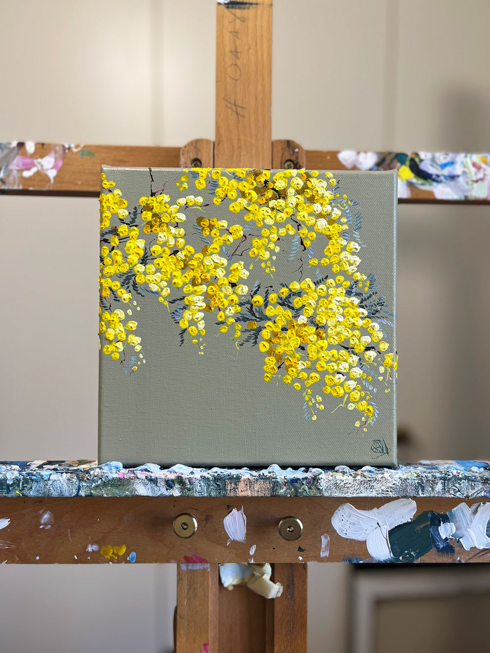 Painting of Golden Wattle Painted in Acrylic on Stretched Canvas on Easel roslynmary art.