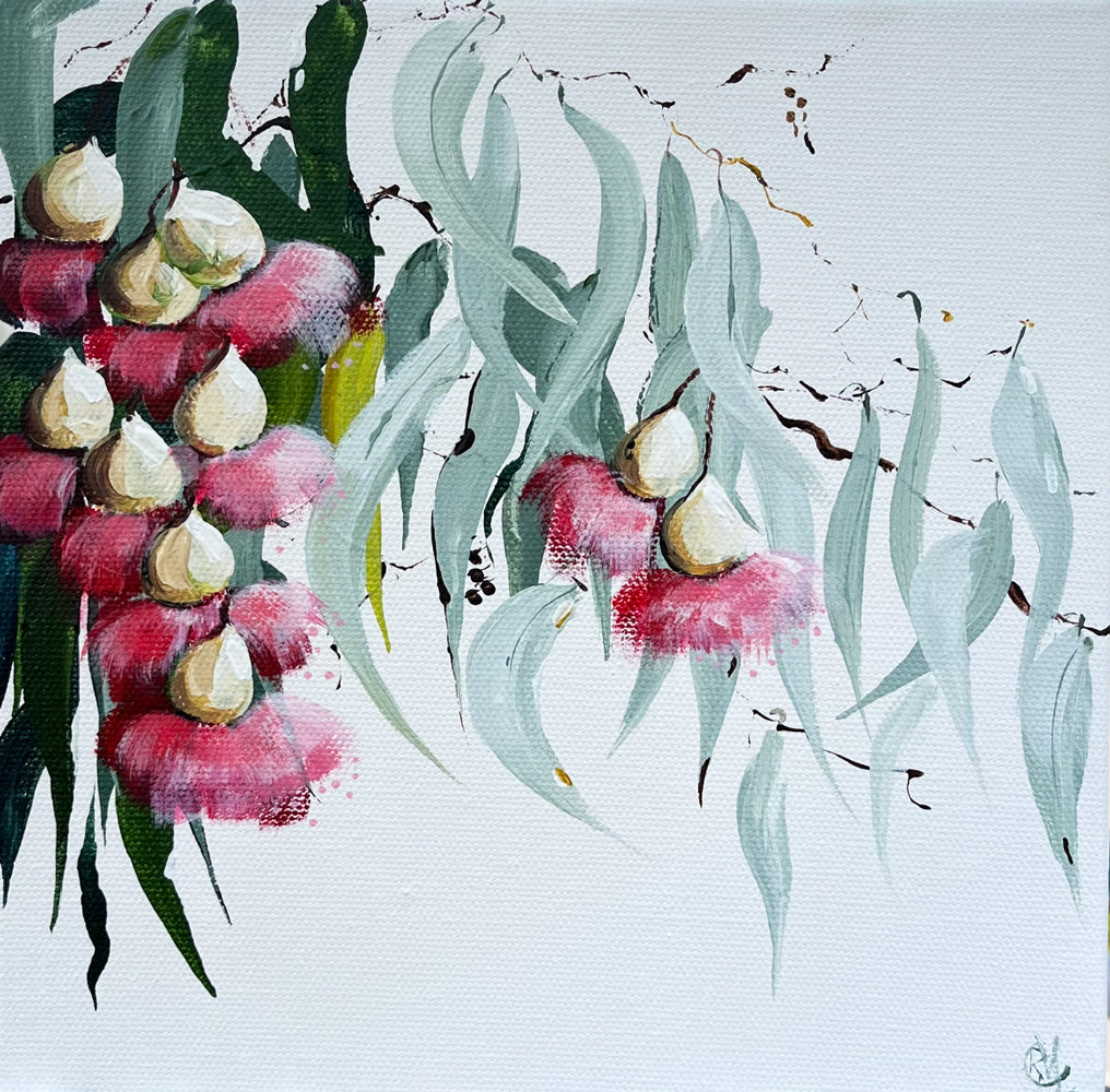 Painting of Eucalypt Blossom Painted in Acrylic on Stretched Canvas roslynmary art.
