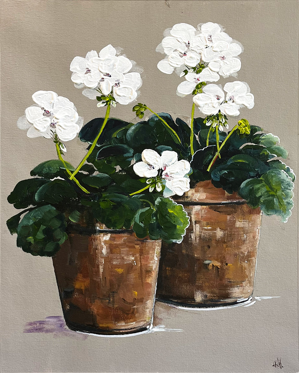 Painting of White Geraniums in Two Terracotta Pot Painted in Acrylic on Cotton Canvas roslynmary art.