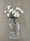 'Simplicity Itself' #1203 roslynmary art.