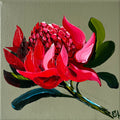 'Her Time to Shine' #1244 roslynmary art.