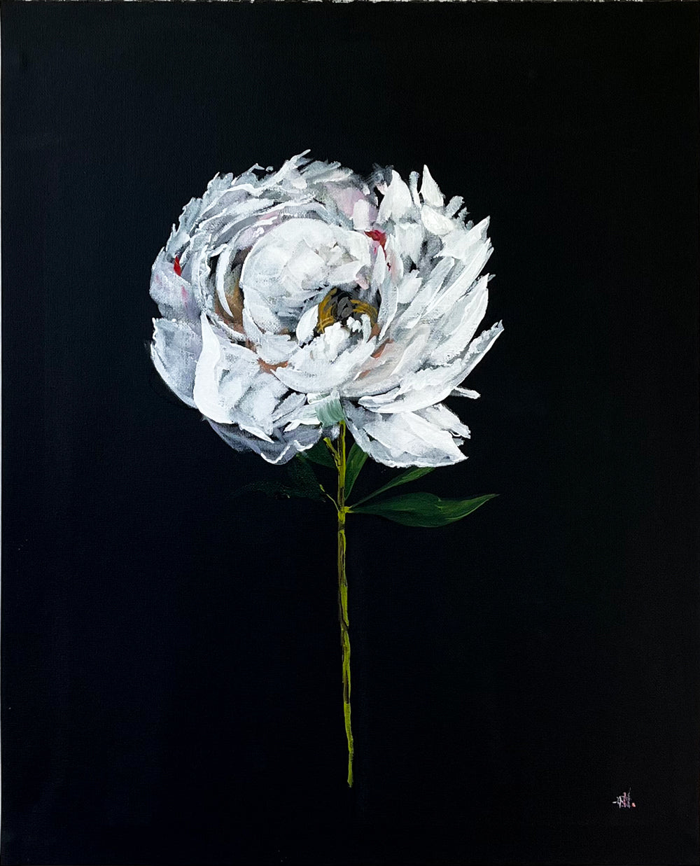 'Peony Love' #1268 roslynmary art.