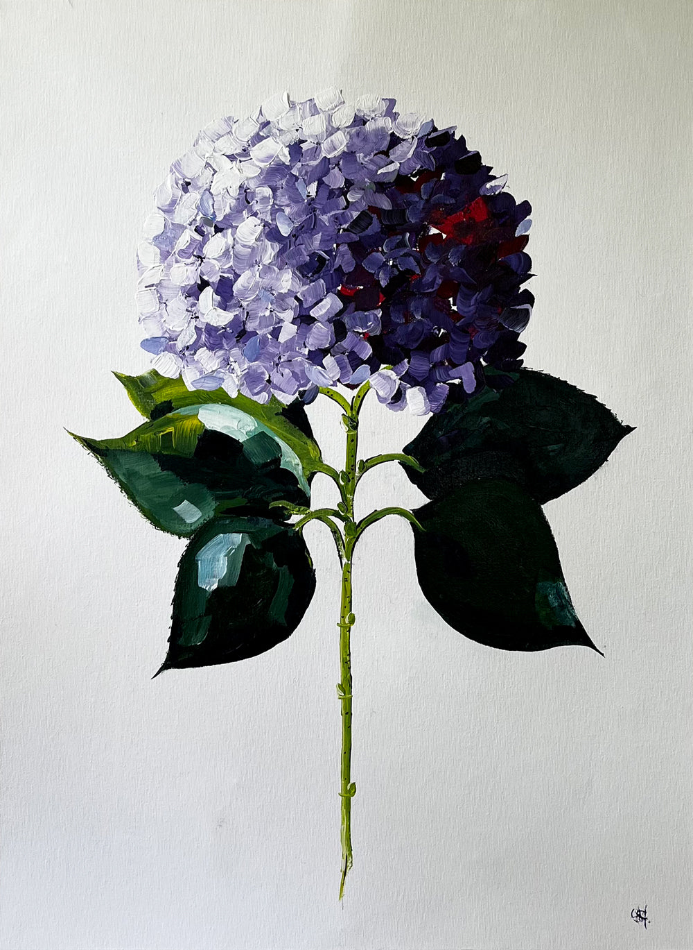 'Flying Solo' #1294 roslynmary art.