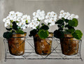 'Ready & Waiting' #1405 roslynmary art.