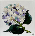 'Never say Never' #1629 roslynmary art.