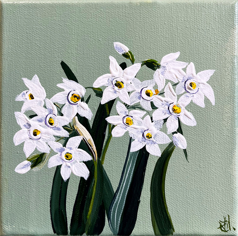 'Narcissus the Green and White One' #1723 roslynmary art.