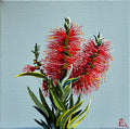 'Bottlebrush' #1756 roslynmary art.