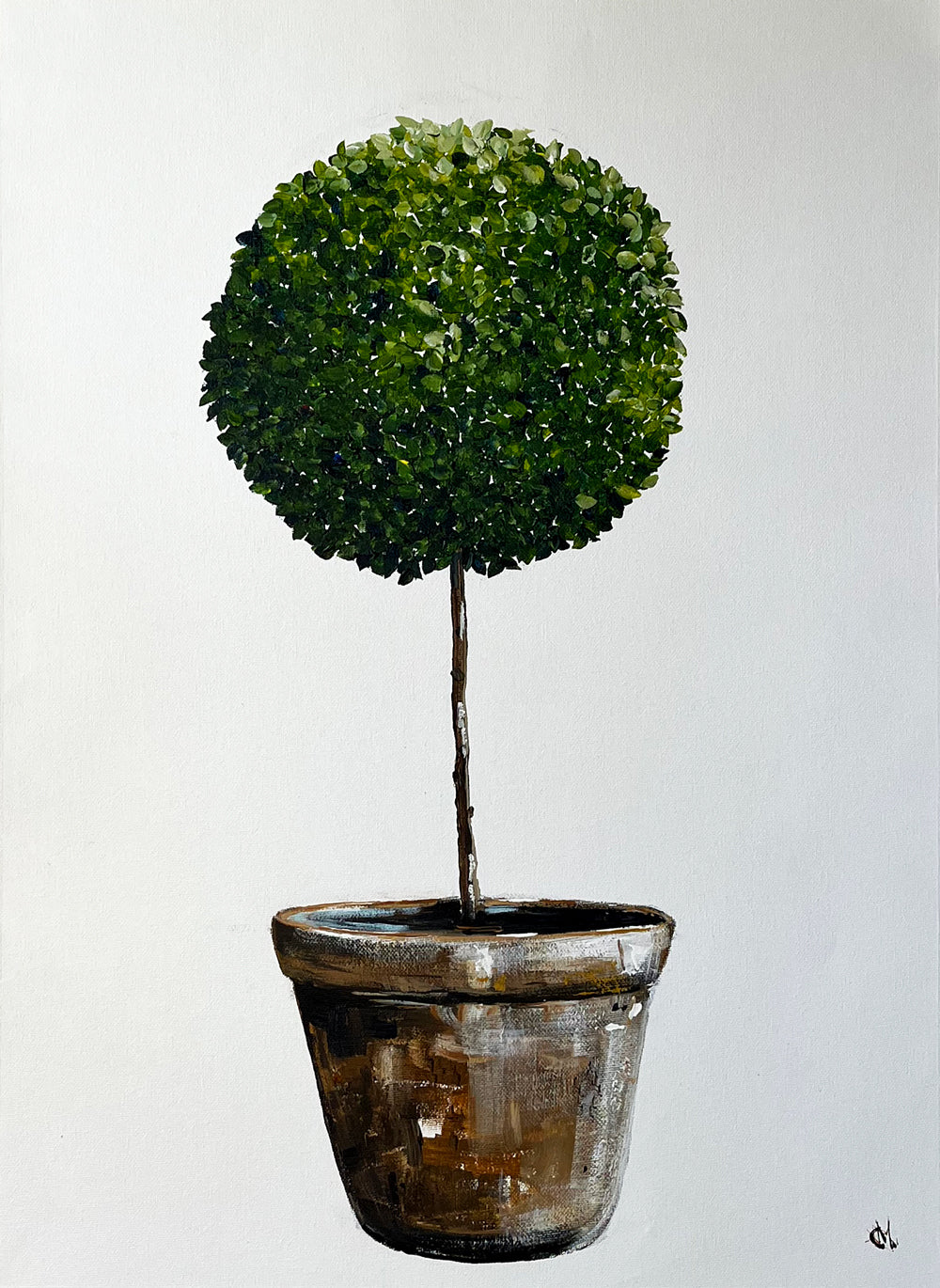 Standard English Box Topiary in Terracotta Pot Painted in Acrylic on Cotton Canvas roslynmary art.