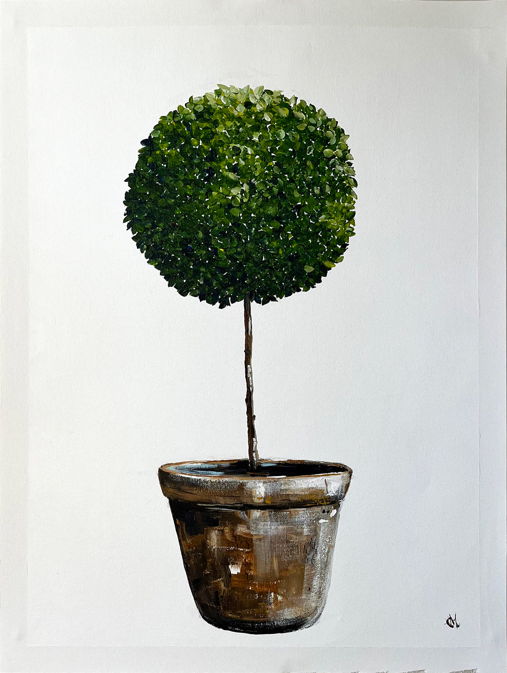 Standard English Box Topiary in Terracotta Pot Painted in Acrylic on Cotton Canvas with Border roslynmary art.