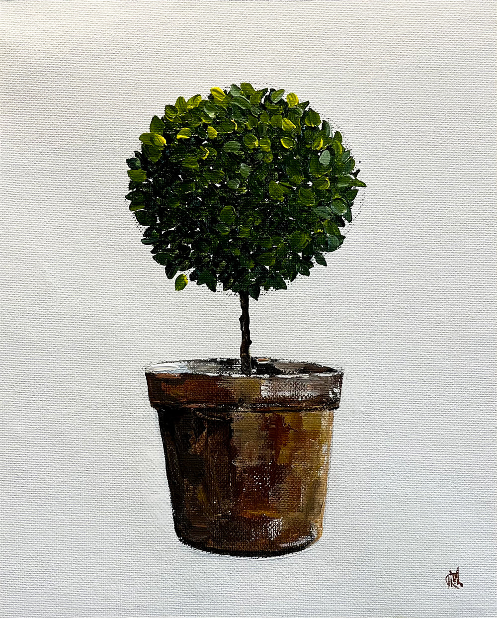 Standard English Box Topiary in Terracotta Pot Painted in Acrylic on Cotton Canvas roslynmary art.