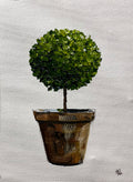 Standard English Box Topiary in Terracotta Pot Painted in Acrylic on Cotton Canvas roslynmary art.