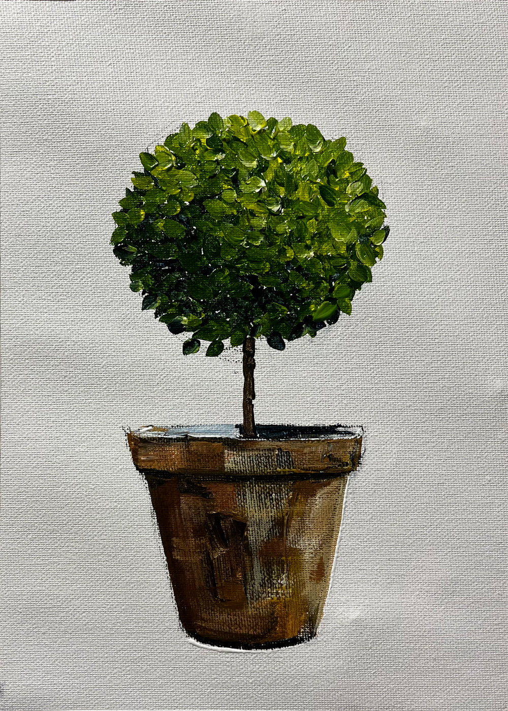 Standard English Box Topiary in Terracotta Pot Painted in Acrylic on Cotton Canvas roslynmary art.
