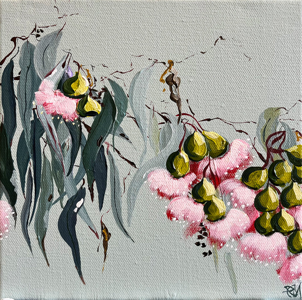 Eucalyptus Blossom Painted in Acrylic on Stretched Canvas roslynmary art.