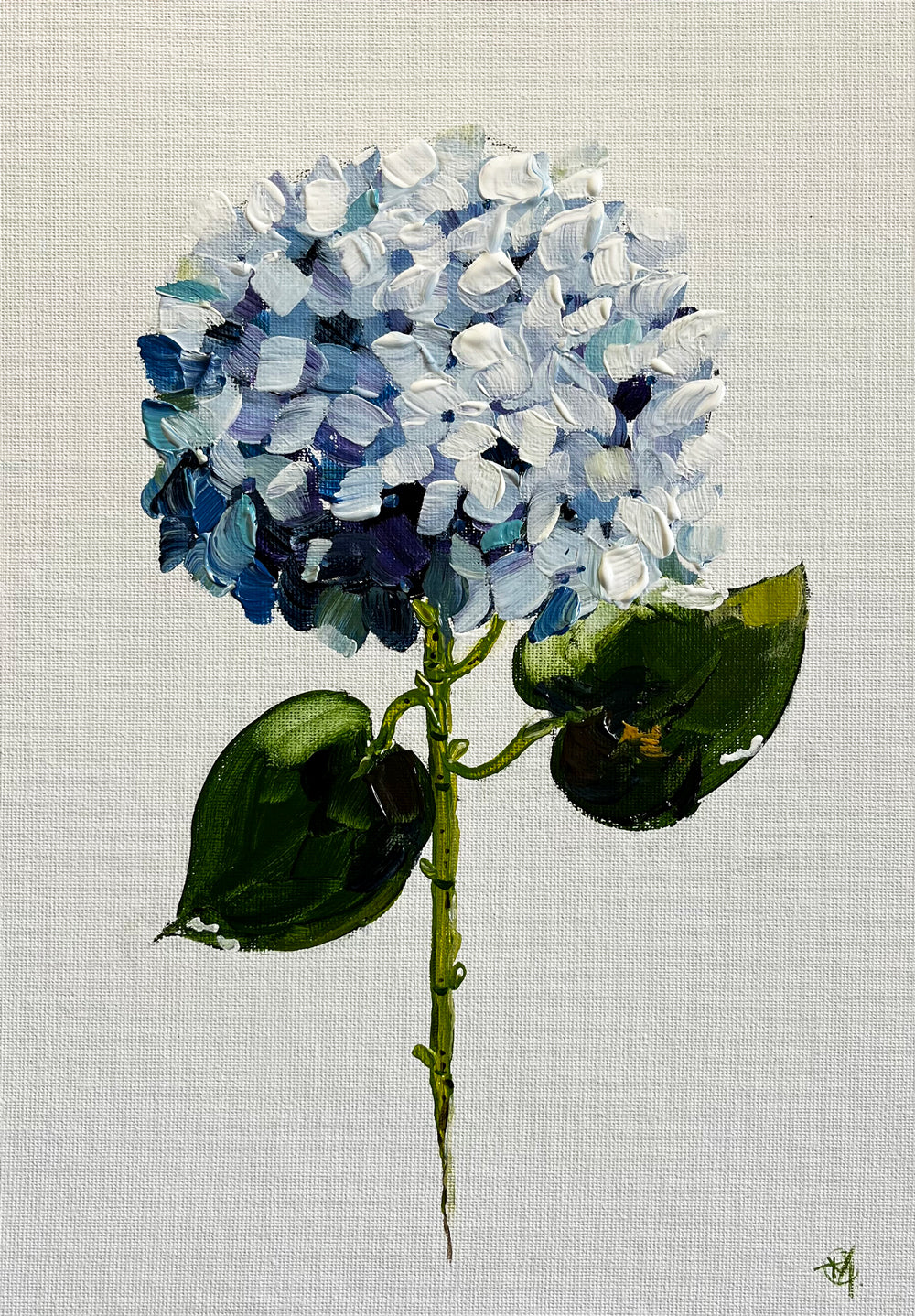 Single Blue Hydrangea Painted in Acrylic on Cotton Canvas roslynmary art.