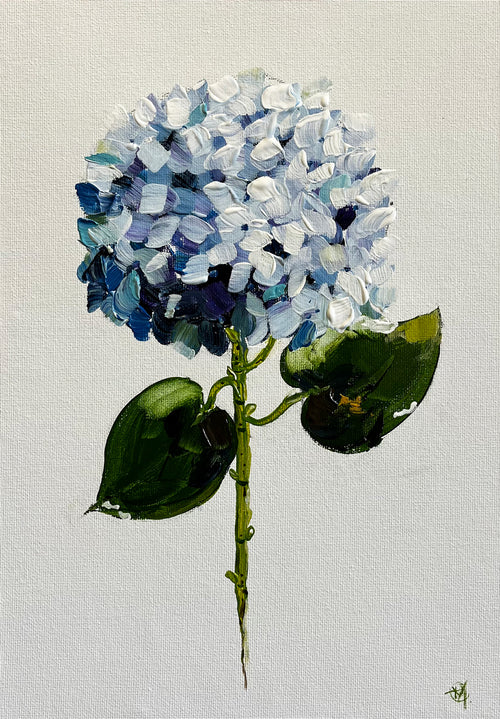 Single Blue Hydrangea Painted in Acrylic on Cotton Canvas roslynmary art.