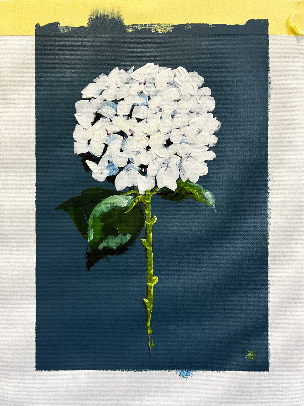 Single White Hydrangea on Dark Navy Background Painted in Acrylic on Cotton Canvas with Border roslynmary art.