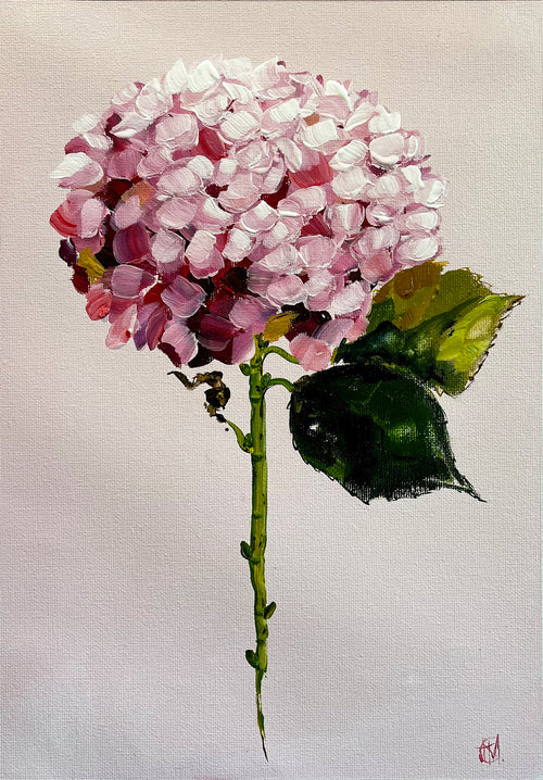 Single Pink Hydrangea on Subtle Pink Background Painted in Acrylic on Cotton Canvas roslynmary art.