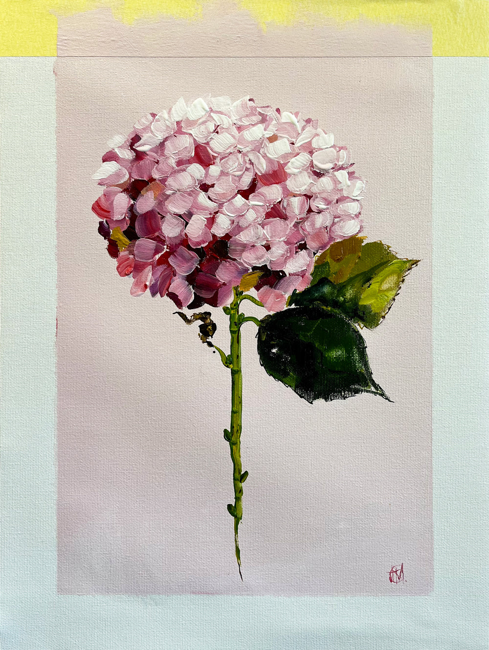 Single Pink Hydrangea on Subtle Pink Background Painted in Acrylic on Cotton Canvas with Border roslynmary art.