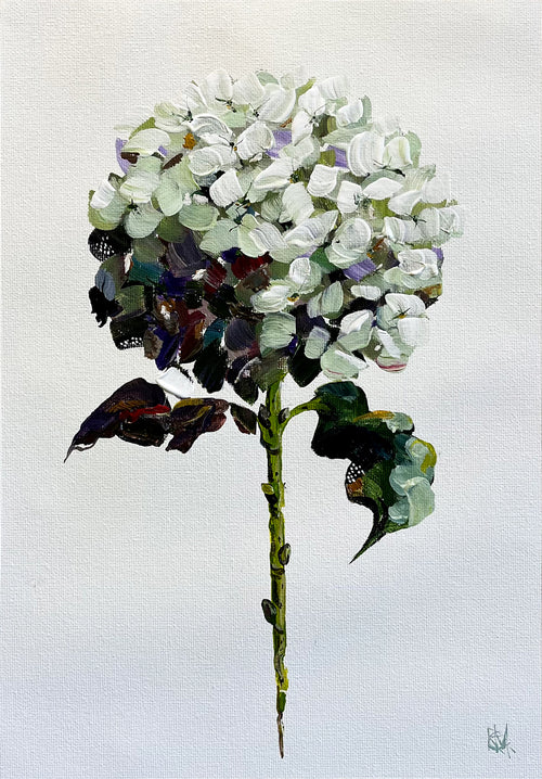 Hydrangea on Subtle Background Painted in Acrylic on Cotton Canvas roslynmary art.