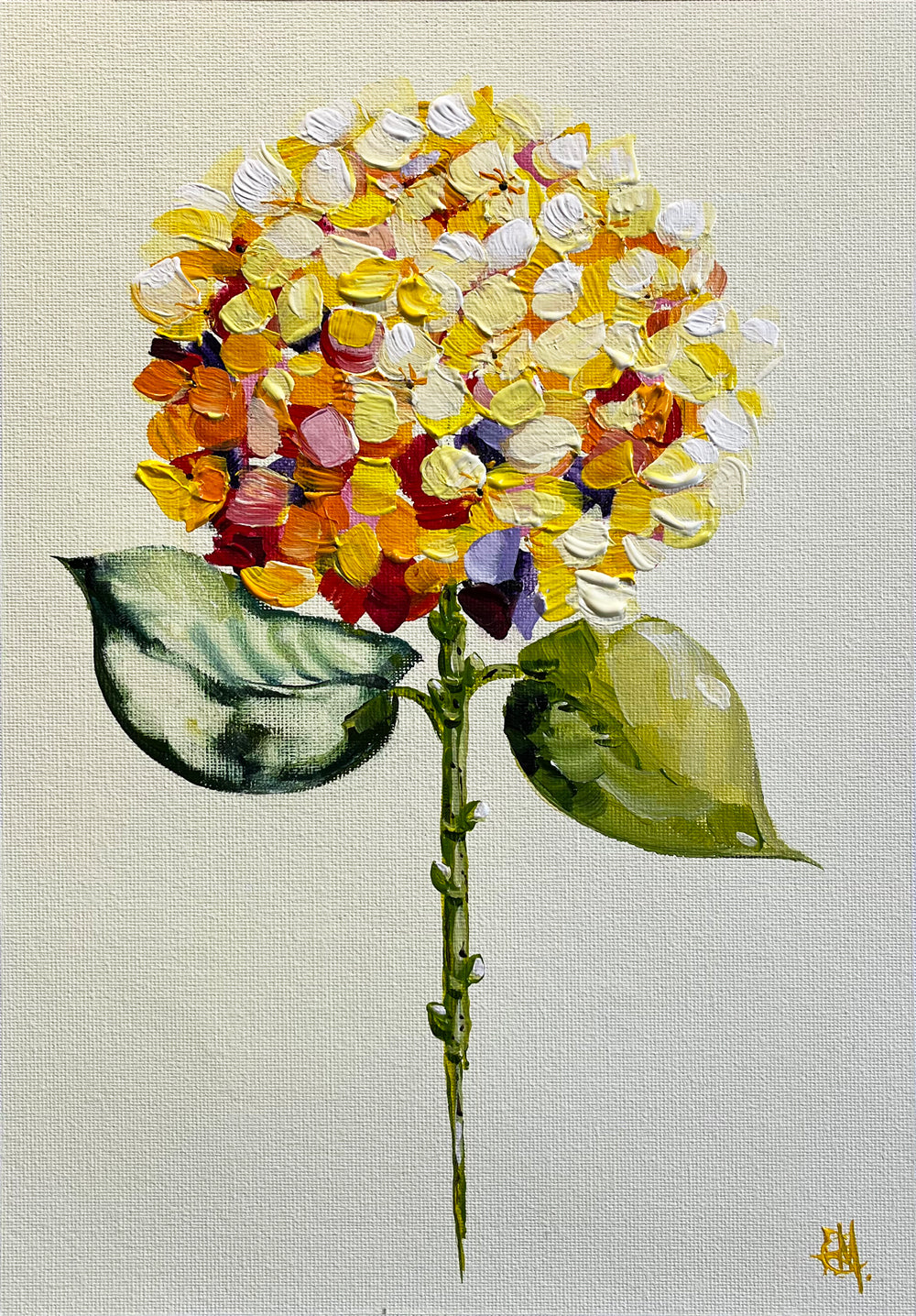 Single Yellow Hydrangea on Subtle Background Painted in Acrylic on Cotton Canvas roslynmary art.