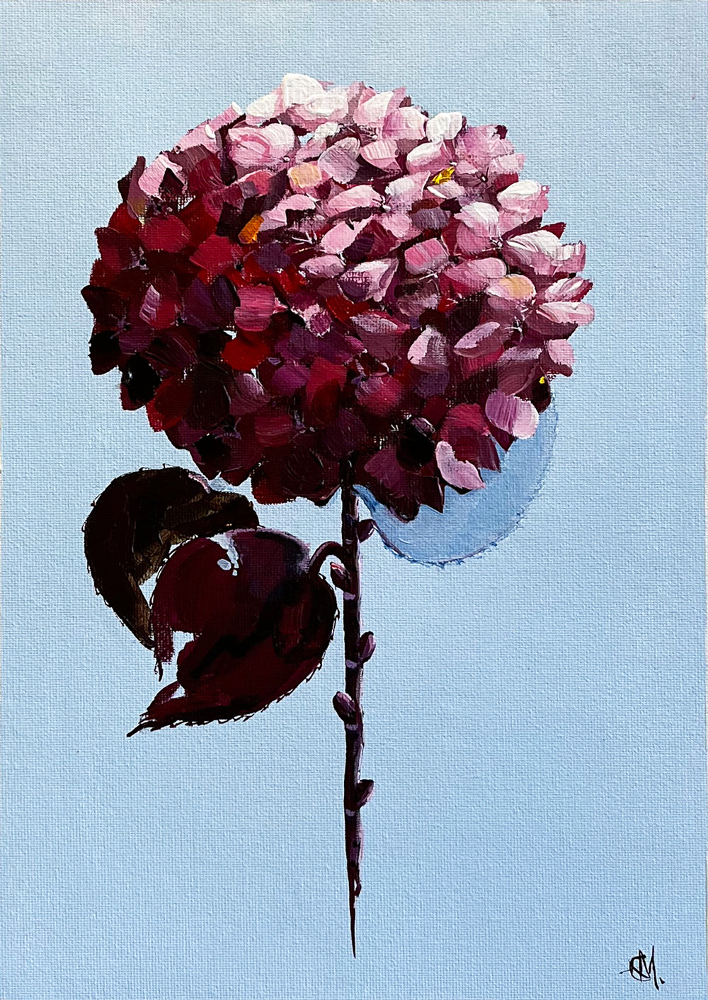 Single Red Hydrangea on Subtle Blue Background Painted in Acrylic on Cotton Canvas roslynmary art.