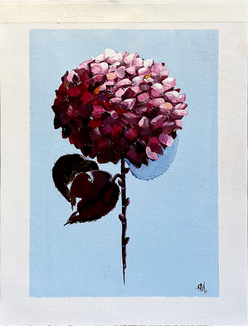 Single Red Hydrangea on Subtle Blue Background Painted in Acrylic on Cotton Canvas with Border roslynmary art.