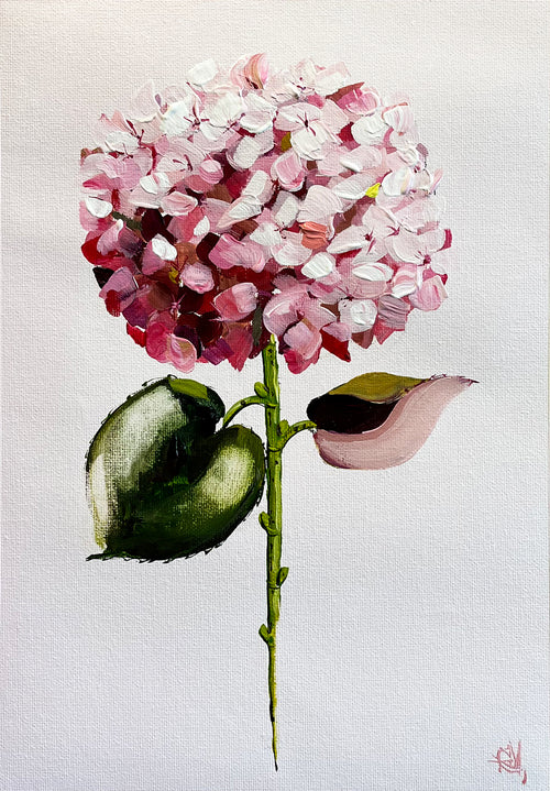 Single Pink Hydrangea on Subtle Pink Background Painted in Acrylic on Cotton Canvas roslynmary art.