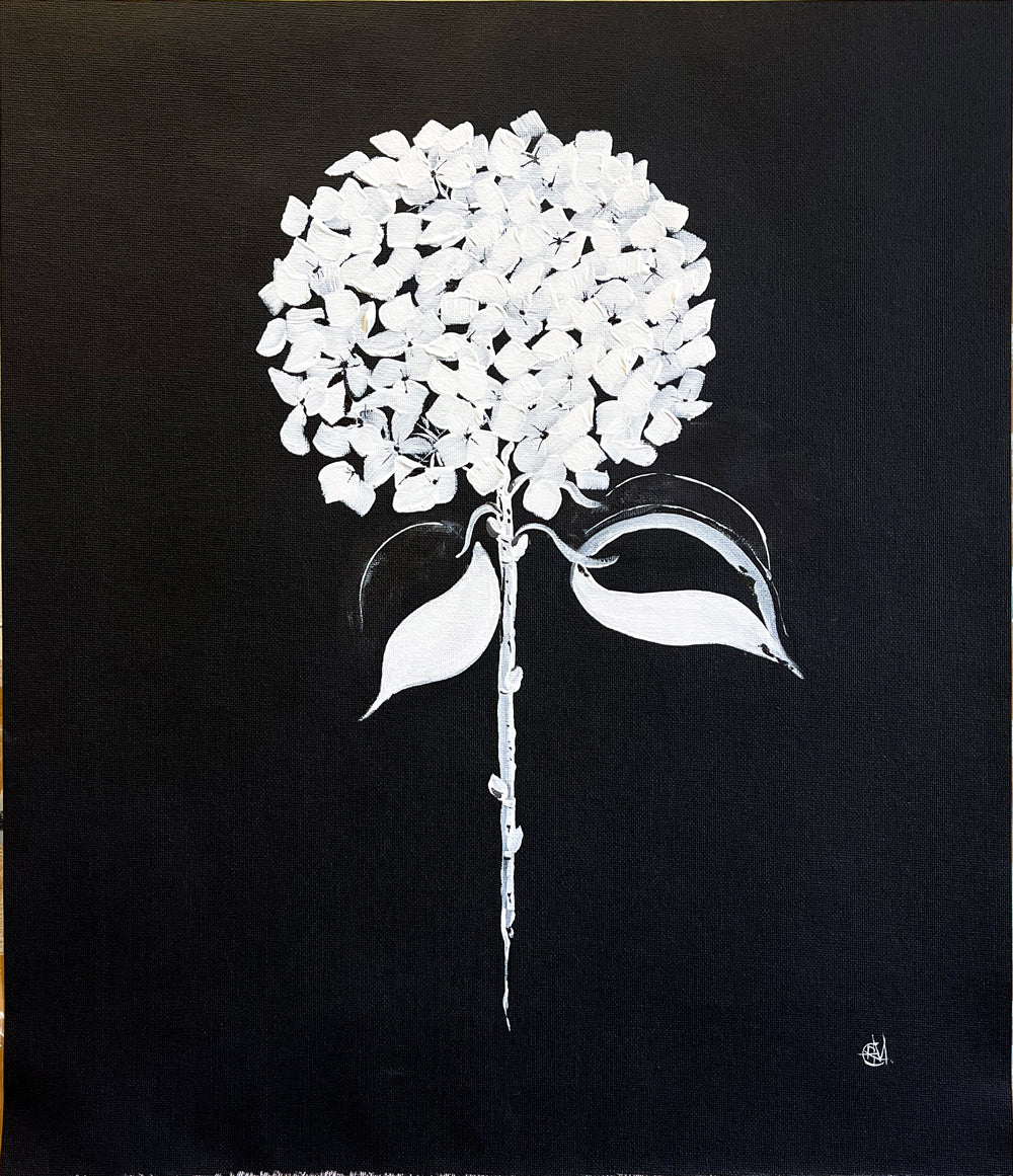 White Abstract Hydrangea on Black Background Painted in Acrylic on Cotton Canvas roslynmary art.