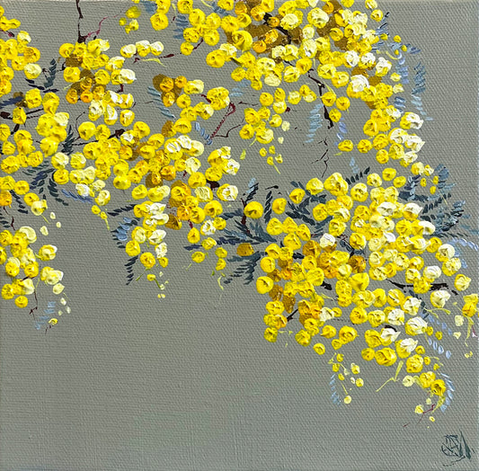 Painting of Golden Wattle Painted in Acrylic on Stretched Canvas roslynmary art.