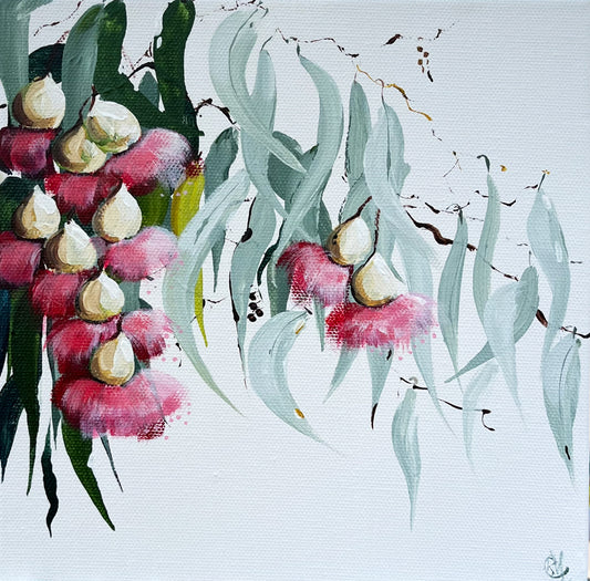 Painting of Eucalypt Blossom Painted in Acrylic on Stretched Canvas roslynmary art.