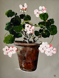 Painting of Pink Geraniums in Terracotta Pot Painted in Acrylic on Cotton Canvas roslynmary art.