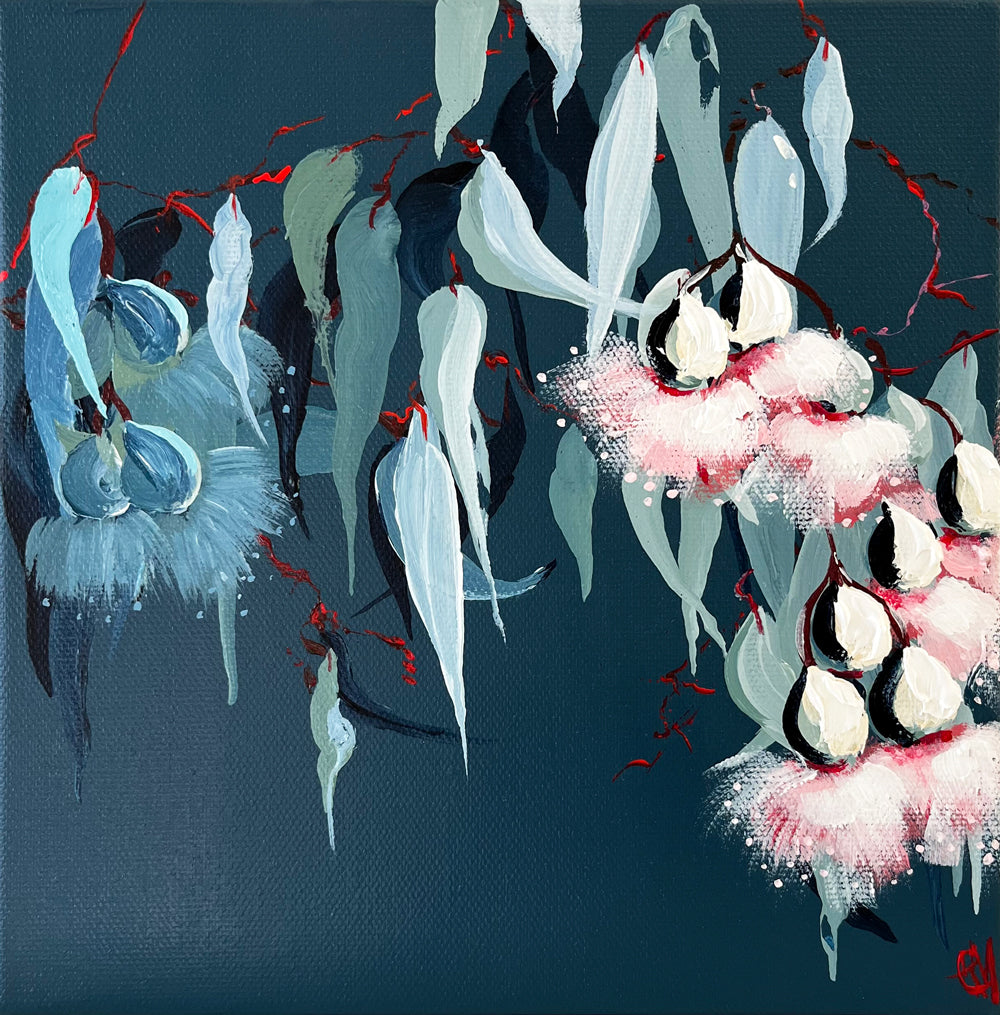 Painting of Eucalypt Blossoms Painted in Acrylic on Stretched Canvas roslynmary art.