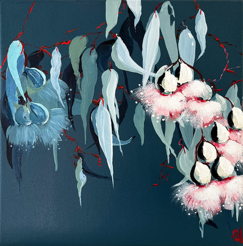 Painting of Eucalypt Blossoms Painted in Acrylic on Stretched Canvas roslynmary art.