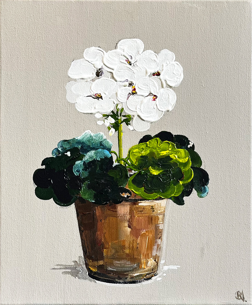 Painting of White Geranium in Terracotta Pot Painted in Acrylic on Stretched Canvas roslynmary art.
