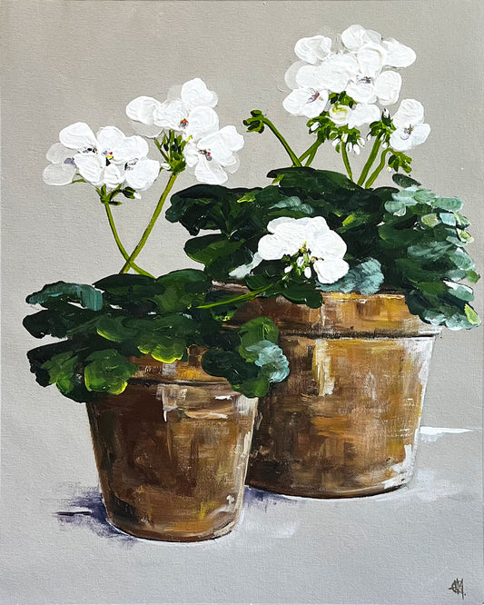 Painting of White Geraniums in Terracotta Pots Painted in Acrylic on Cotton Canvas roslynmary art.