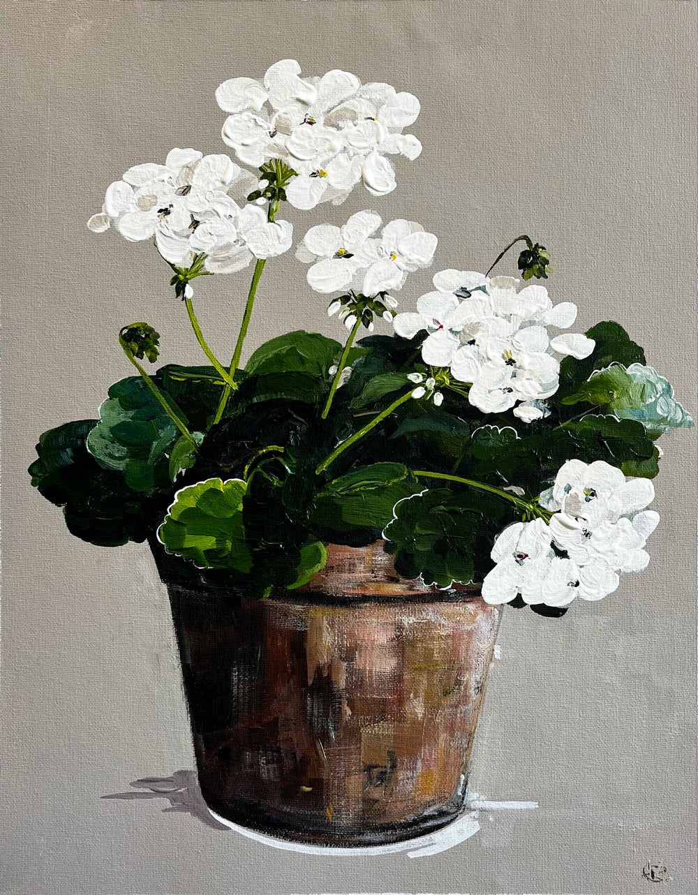 Painting of White Geraniums in Terracotta Pot Painted in Acrylic on Cotton Canvas roslynmary art.