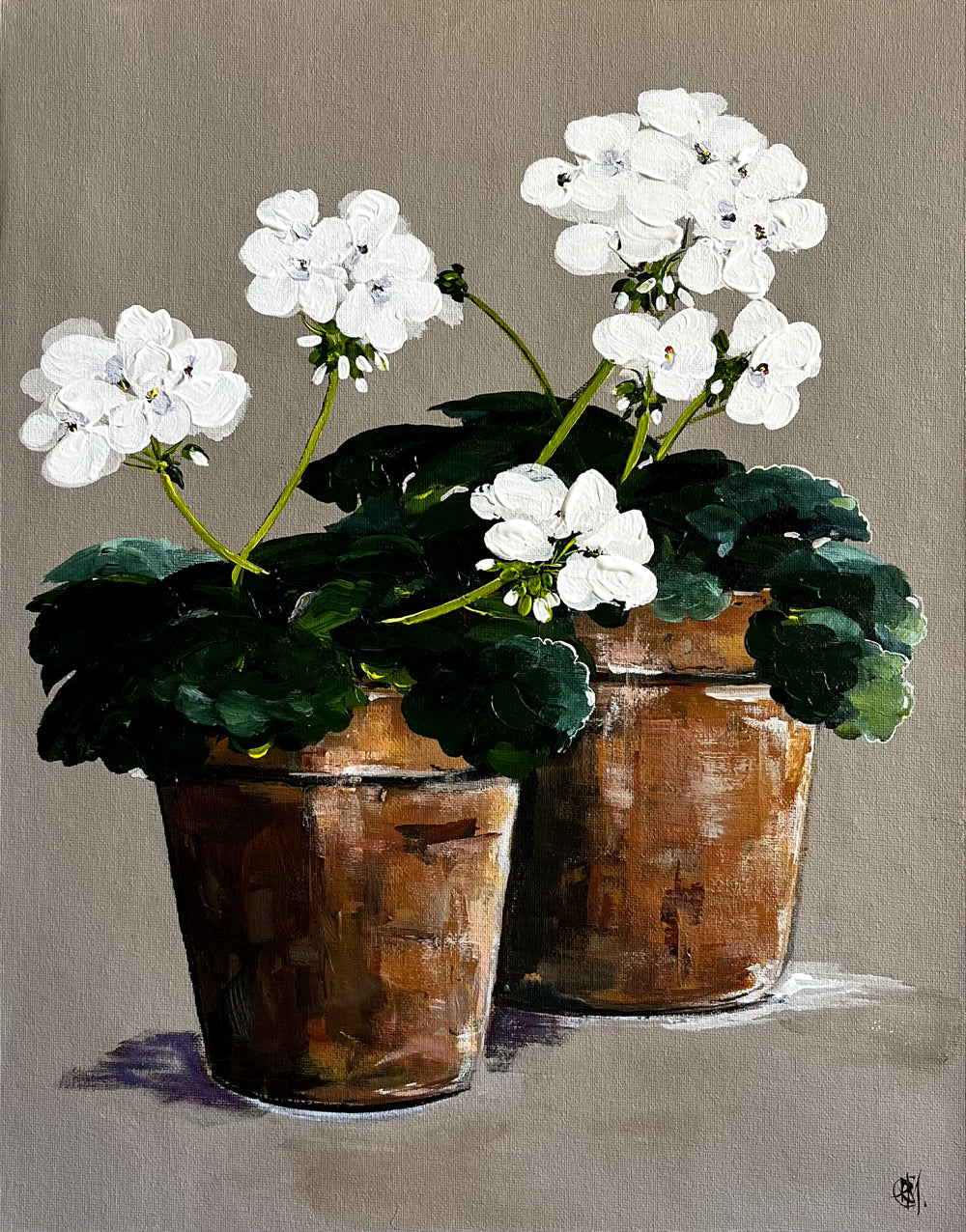 Painting of White Geraniums in Terracotta Pots Painted in Acrylic on Cotton Canvas roslynmary art.
