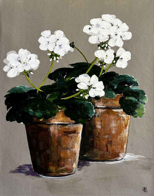 Painting of White Geraniums in Terracotta Pots Painted in Acrylic on Cotton Canvas roslynmary art.