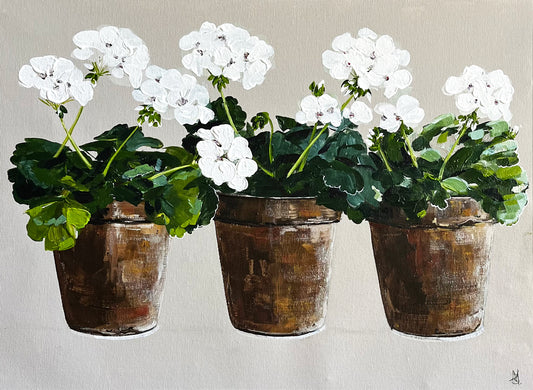 Painting of White Geraniums in Three Terracotta Pot Painted in Acrylic on Cotton Canvas roslynmary art.