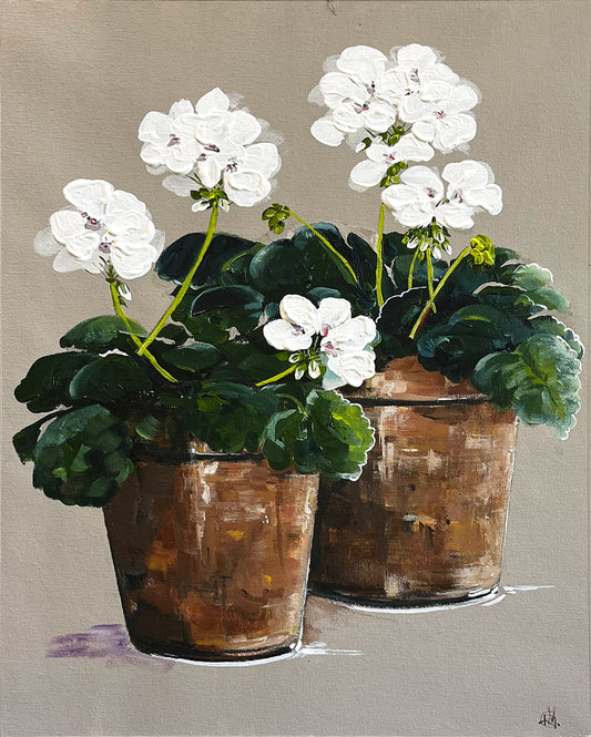 Painting of White Geraniums in Two Terracotta Pot Painted in Acrylic on Cotton Canvas roslynmary art.