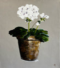 Painting of White Geranium in Terracotta Pot Painted in Acrylic on Cotton Canvas roslynmary art.