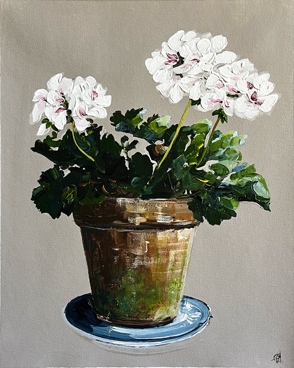 Painting of White Geraniums in Terracotta Pot Painted in Acrylic on Cotton Canvas roslynmary art.