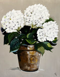 Painting of White Hydrangeas in Terracotta Pot Painted in Acrylic on Cotton Canvas roslynmary art.