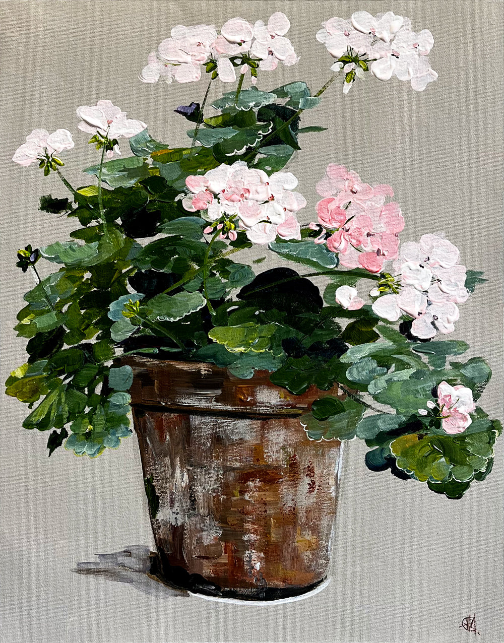 Painting of Pink Geraniums in Terracotta Pot Painted in Acrylic on Cotton Canvas roslynmary art.