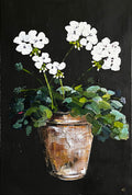 Painting of White Geraniums in Terracotta Pot on Black Background Painted in Acrylic on Cotton Canvas roslynmary art.