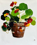 Painting of Nasturtiums in Terracotta Pot Painted in Acrylic on Cotton Canvas roslynmary art.
